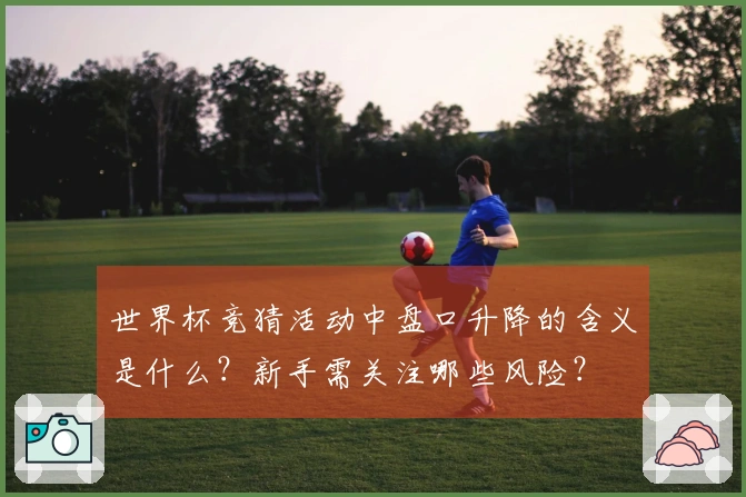 世界杯竞猜活动中盘口升降的含义是什么？新手需关注哪些风险？