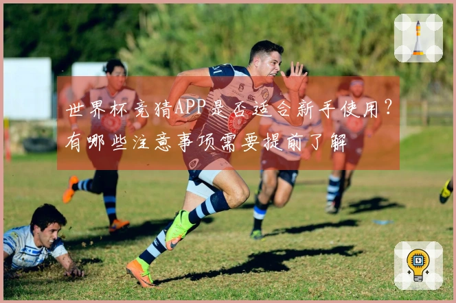 世界杯竞猜APP是否适合新手使用?有哪些注意事项需要提前了解