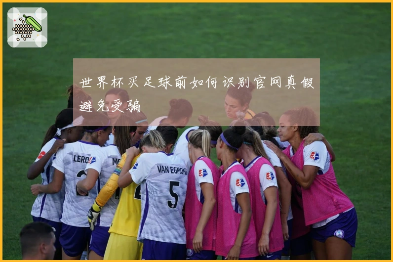 世界杯买足球前如何识别官网真假避免受骗