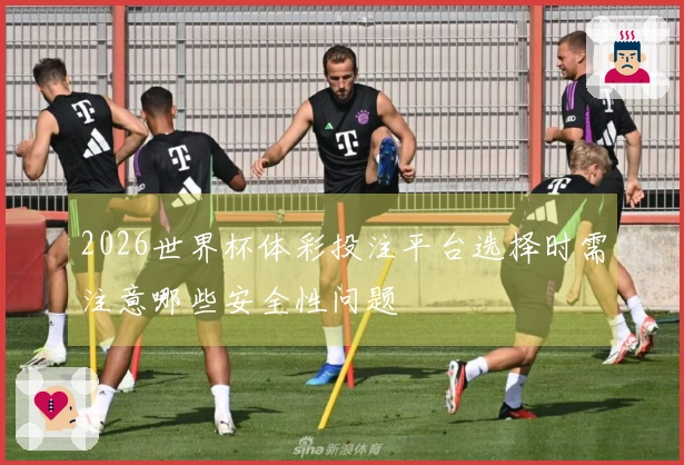 2026世界杯体彩投注平台选择时需注意哪些安全性问题
