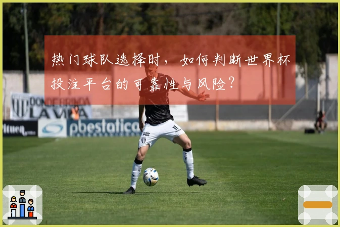 热门球队选择时，如何判断世界杯投注平台的可靠性与风险？