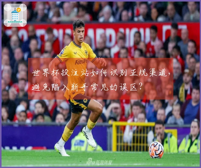 世界杯投注站如何识别正规渠道，避免陷入新手常见的误区？