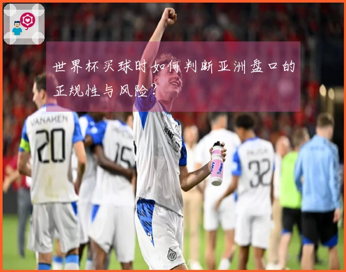 世界杯买球时如何判断亚洲盘口的正规性与风险？