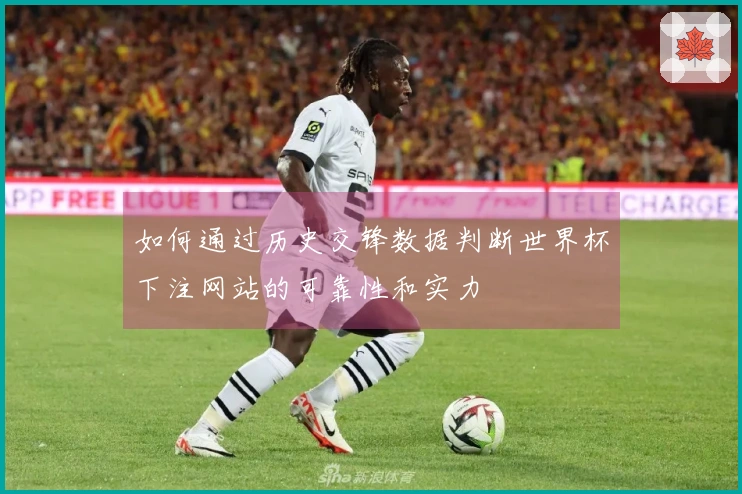 如何通过历史交锋数据判断世界杯下注网站的可靠性和实力