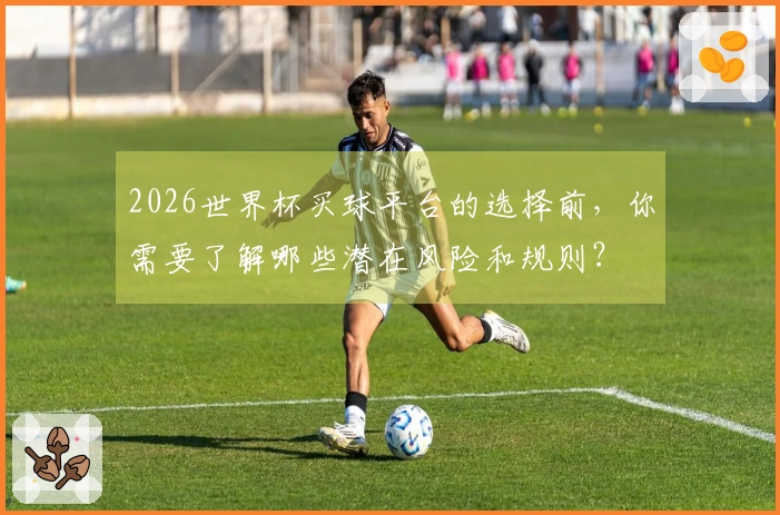 2026世界杯买球平台的选择前，你需要了解哪些潜在风险和规则？