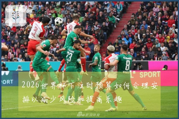 2026世界杯下注时预算如何合理安排以减少风险和提高乐趣