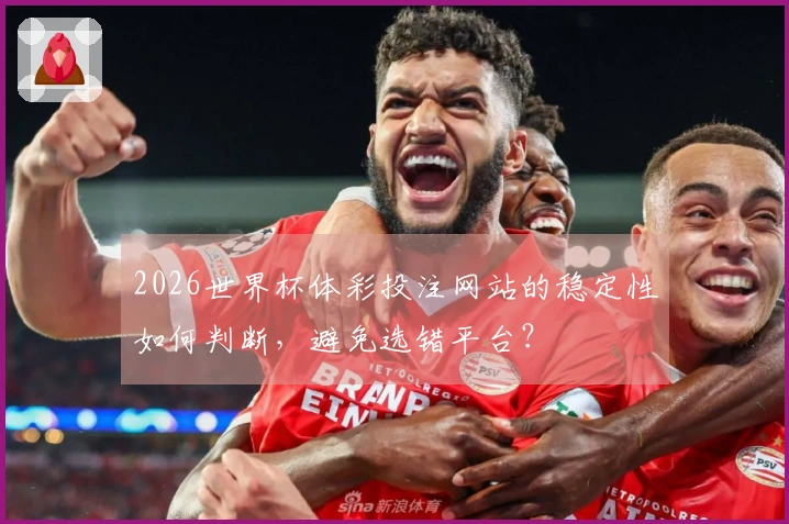 2026世界杯体彩投注网站的稳定性如何判断，避免选错平台？