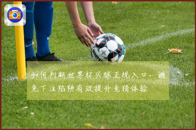 如何判断世界杯买球正规入口，避免下注陷阱有效提升竞猜体验