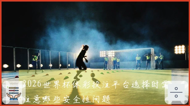 2026世界杯体彩投注平台选择时需注意哪些安全性问题