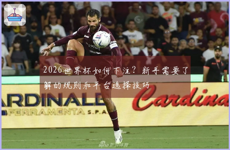 2026世界杯如何下注？新手需要了解的规则和平台选择技巧
