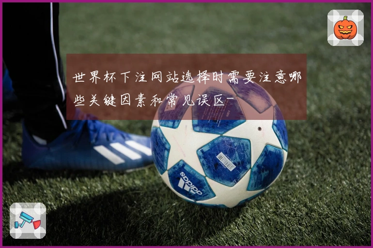 世界杯下注网站选择时需要注意哪些关键因素和常见误区-