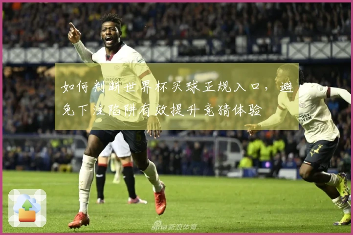 如何判断世界杯买球正规入口，避免下注陷阱有效提升竞猜体验