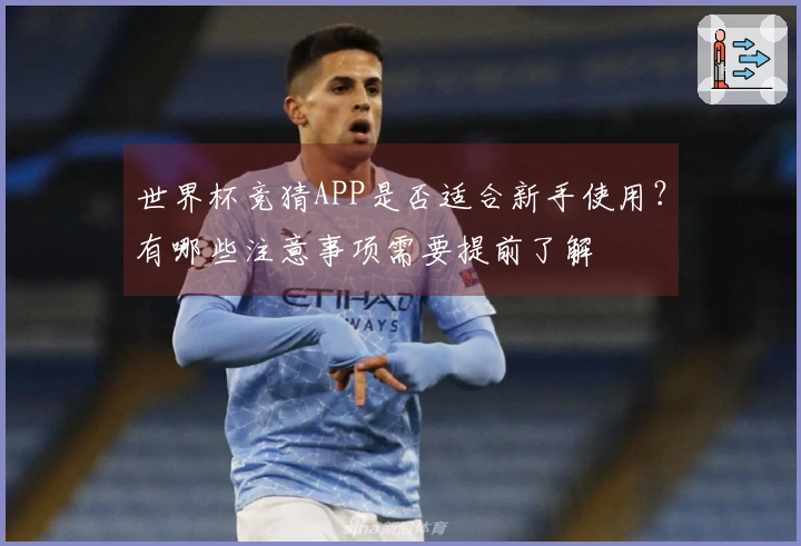 世界杯竞猜APP是否适合新手使用？有哪些注意事项需要提前了解
