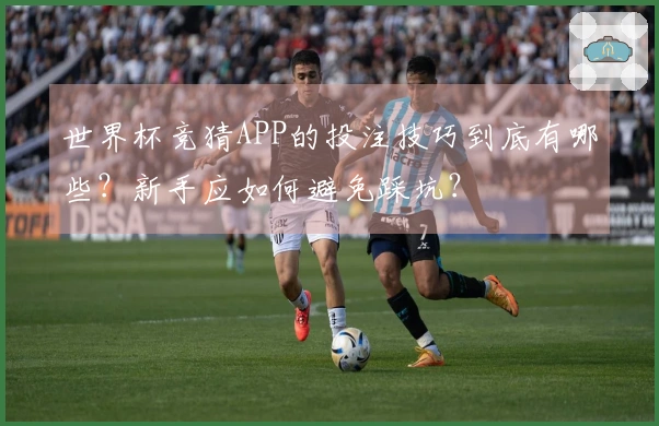 世界杯竞猜APP的投注技巧到底有哪些？新手应如何避免踩坑？
