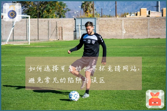 如何选择可靠的世界杯竞猜网站，避免常见的陷阱与误区