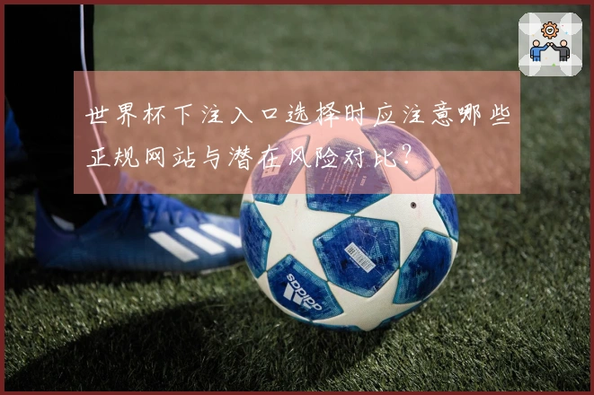 世界杯下注入口选择时应注意哪些正规网站与潜在风险对比？
