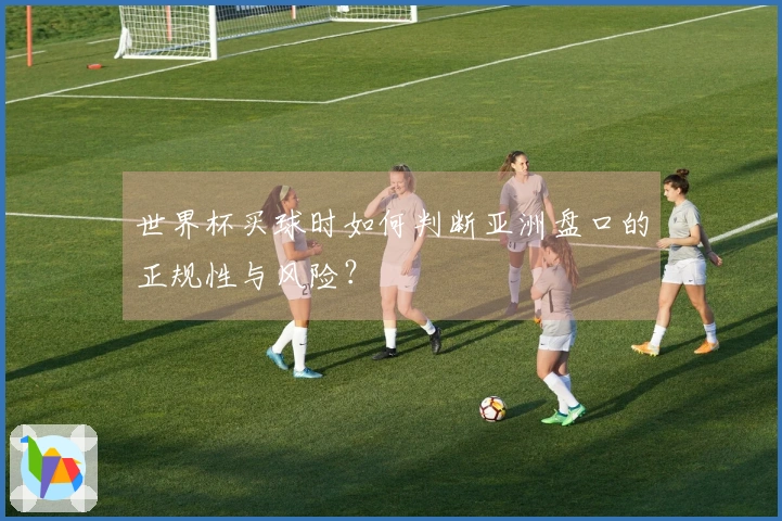 世界杯买球时如何判断亚洲盘口的正规性与风险？