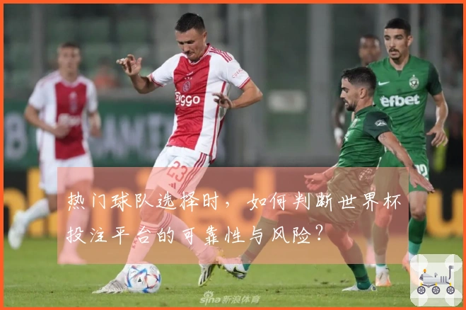 热门球队选择时，如何判断世界杯投注平台的可靠性与风险？